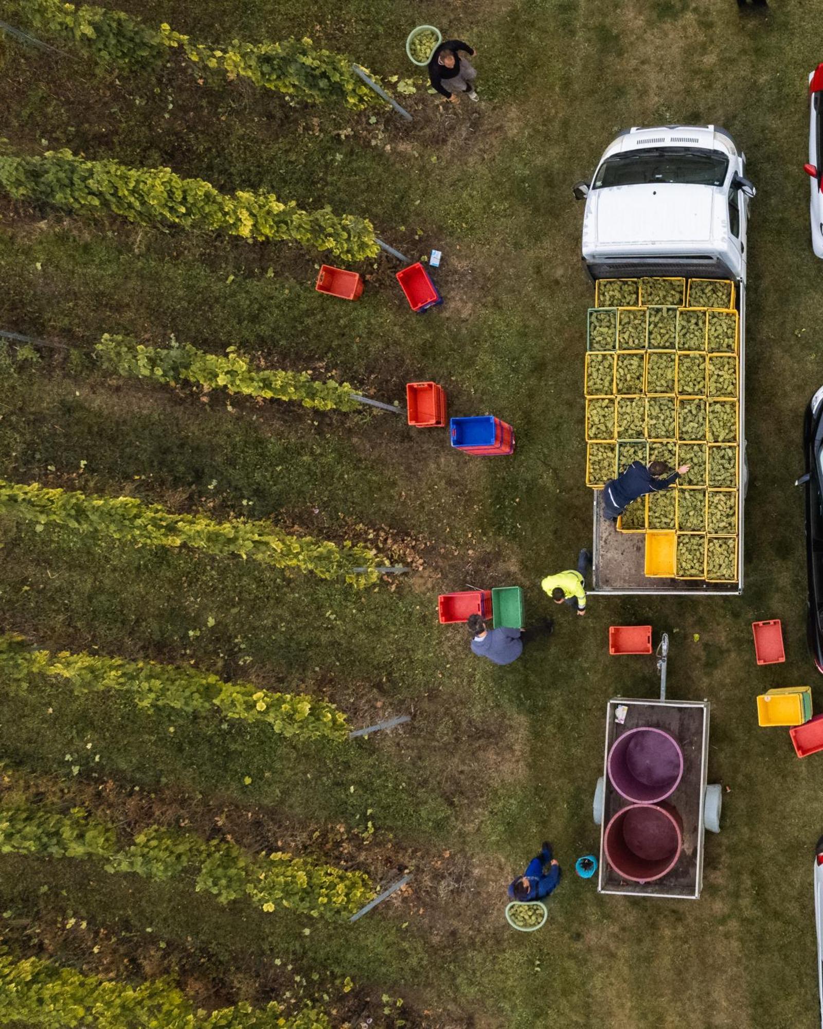 Bed&Breakfast Vinarija Coner ビェロヴァル エクステリア 写真
