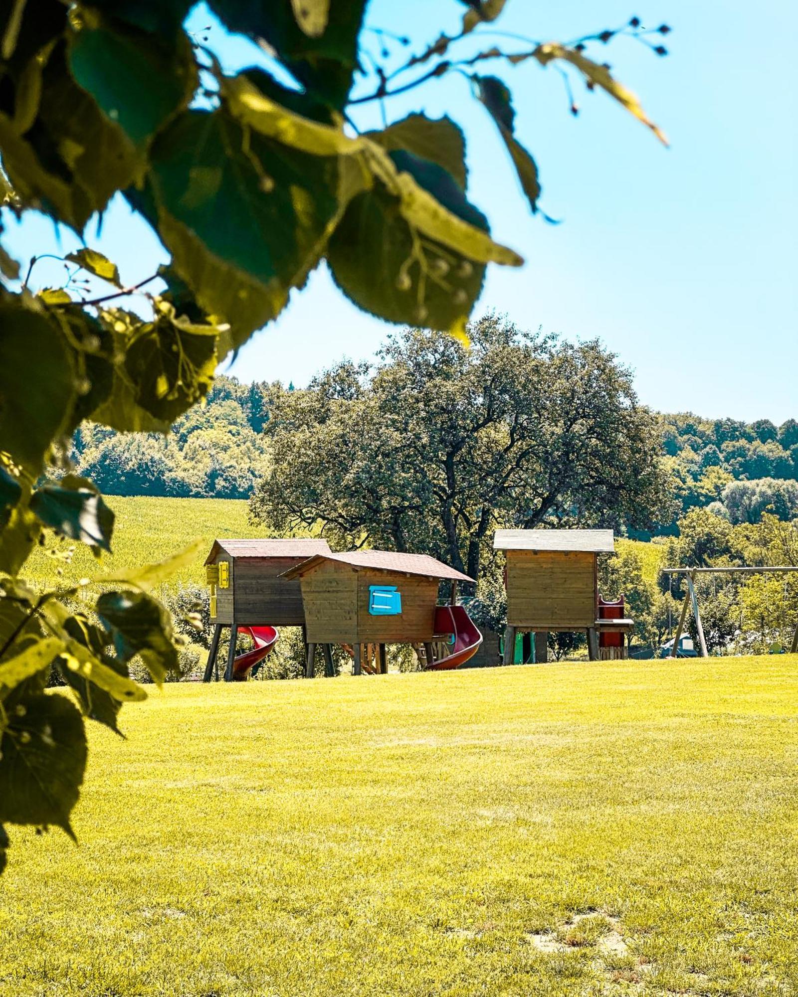 Bed&Breakfast Vinarija Coner ビェロヴァル エクステリア 写真